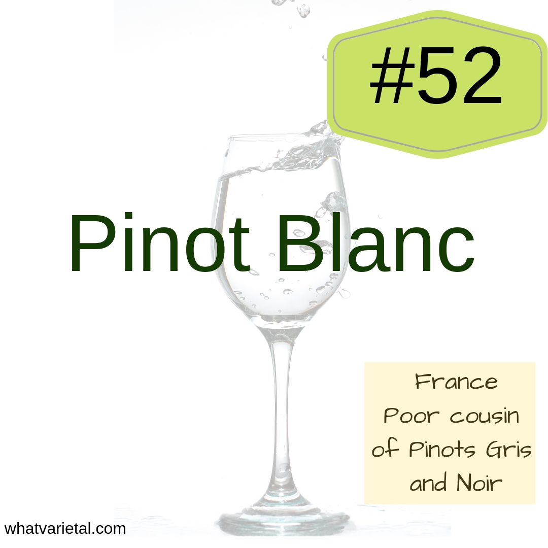 Pinot Blanc white wine variety