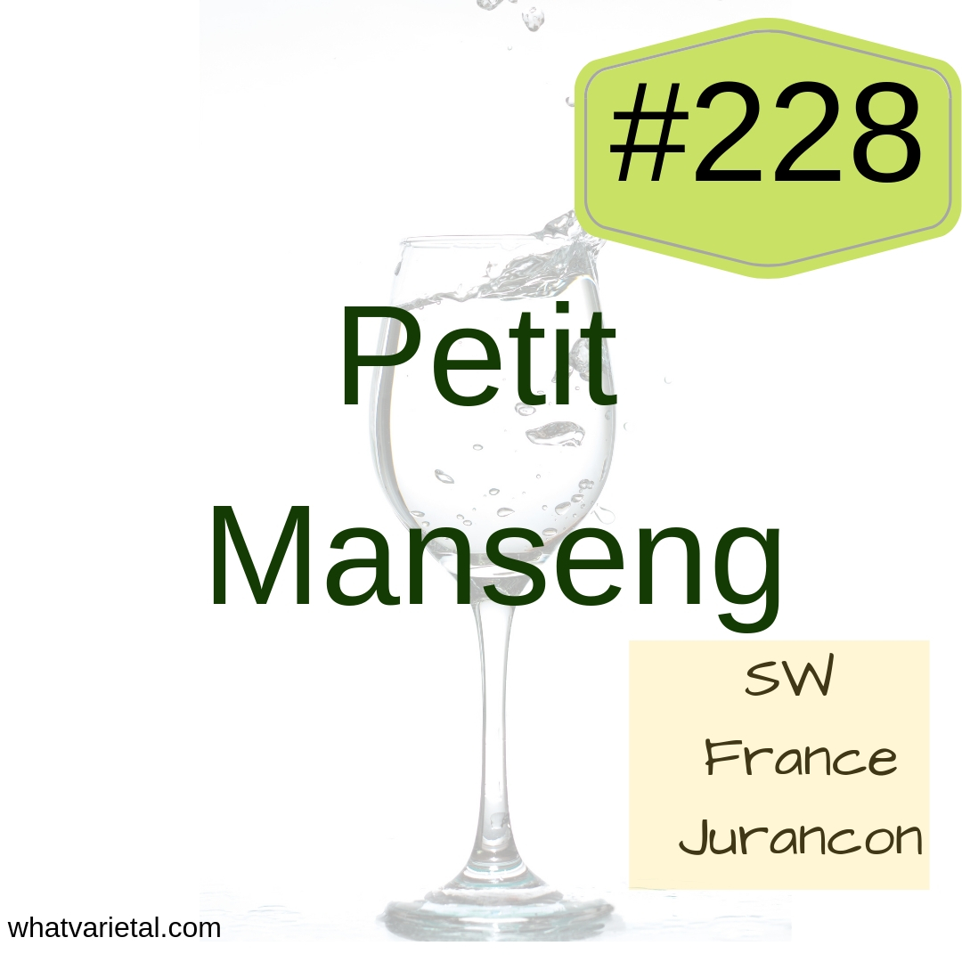 Petit Manseng white wine variety makes Juracon