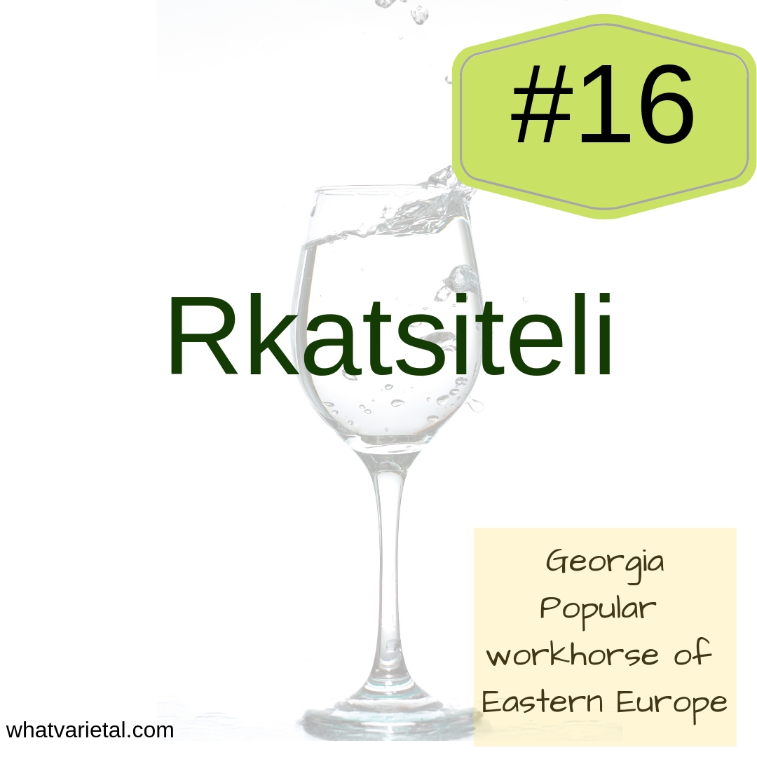 Rkatsiteli white wine variety is described in the book What Varietal is That?